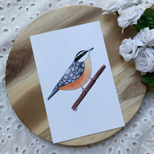 Load image into Gallery viewer, Mandala Nuthatch