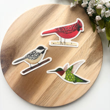 Load image into Gallery viewer, Bestselling Birds Sticker Bundle