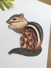 Load image into Gallery viewer, Mandala Chipmunk