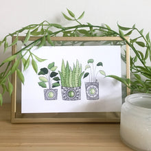 Load image into Gallery viewer, Mandala Houseplants