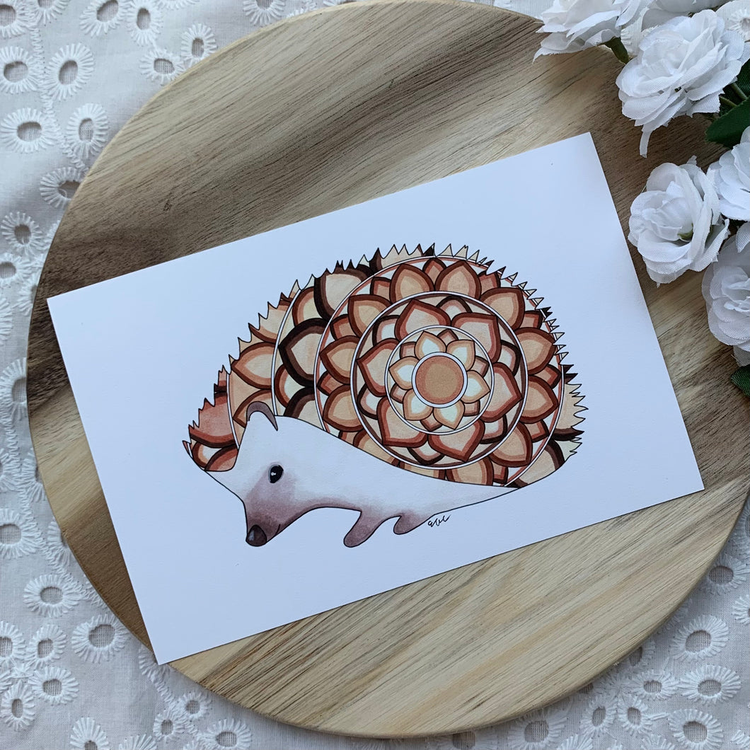 Mandala Hedgehog