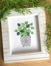 Load image into Gallery viewer, Monstera Plant and Mandala Pot
