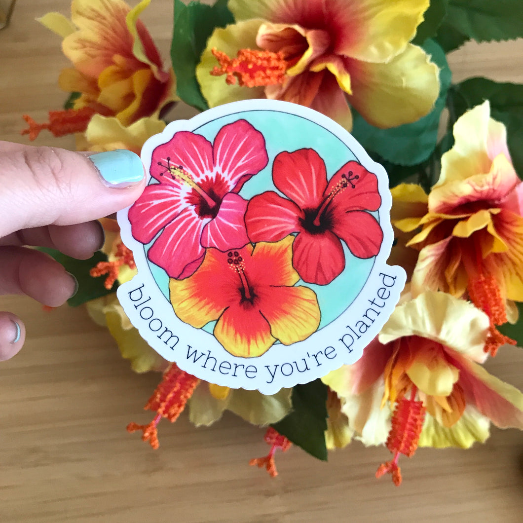 Bloom Where You're Planted Hibiscus Sticker