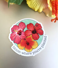 Load image into Gallery viewer, Bloom Where You&#39;re Planted Hibiscus Sticker
