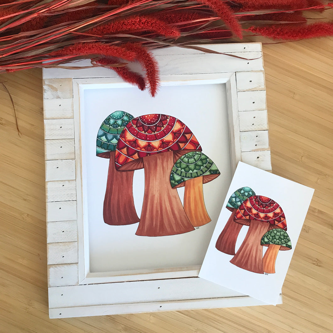 Mandala Mushrooms